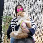 Alice Wonderland Queen of House Cheschire à l'expo