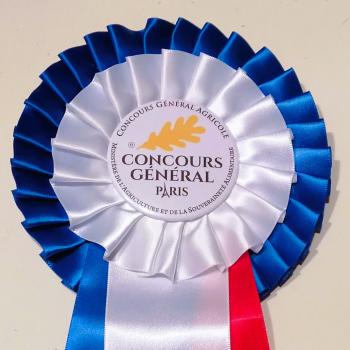 Nos chats sélectionnés au CGA