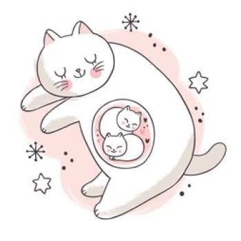 Les soins : mamans et chatons