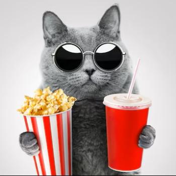 Notre Studio Photomatou ...